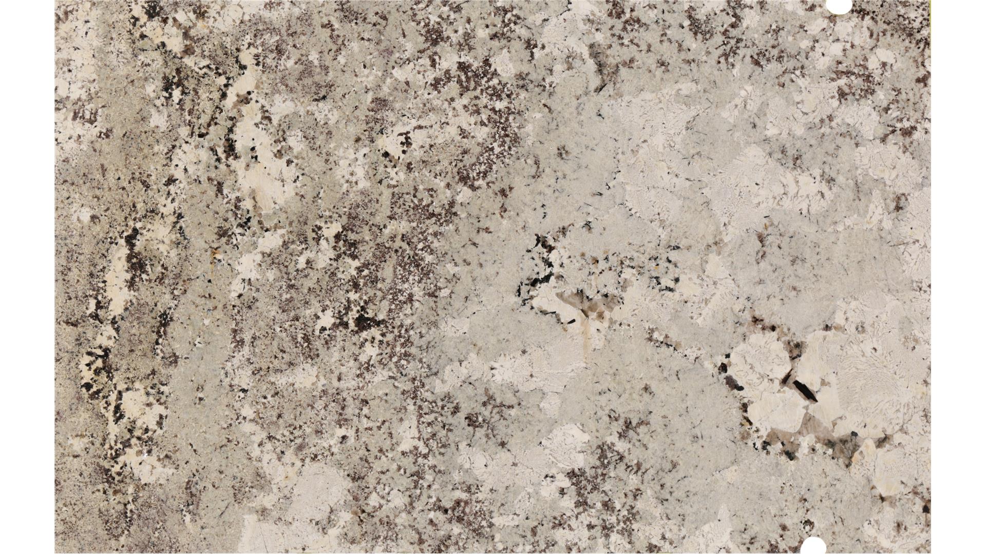 Alaska White (GR) Granite Slabs