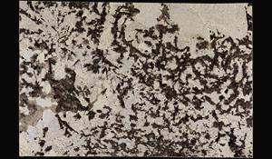 SPLENDOR WHITE GRANITE