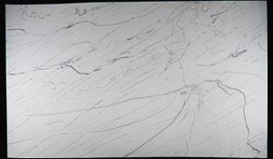 CALACATTA PREMIER QUARTZITE