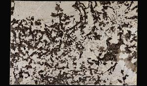 SPLENDOR WHITE GRANITE