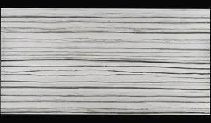 ZEBRINO 1.2CM MEDITERRANEO PORCELAIN