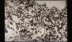 SPLENDOR WHITE GRANITE