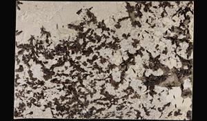 SPLENDOR WHITE GRANITE