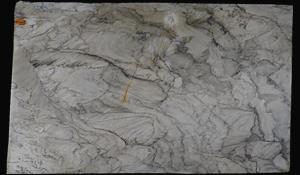 LONDON SMOKE QUARTZITE