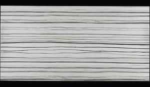 ZEBRINO 1.2CM MEDITERRANEO PORCELAIN