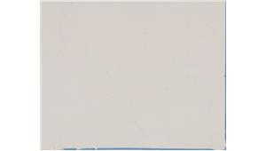 Calacatta Botanica Q