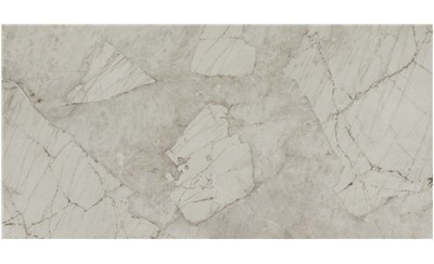 Antarctica White Porcelain