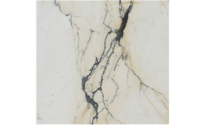 Paonazzo Marble