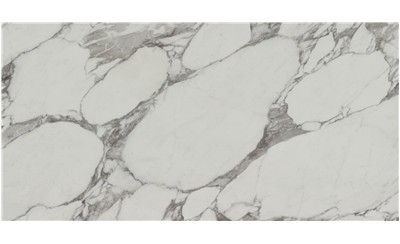 Arabescato Corchia  Porcelain