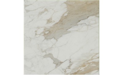Calacatta Macchia Vecchia Marble