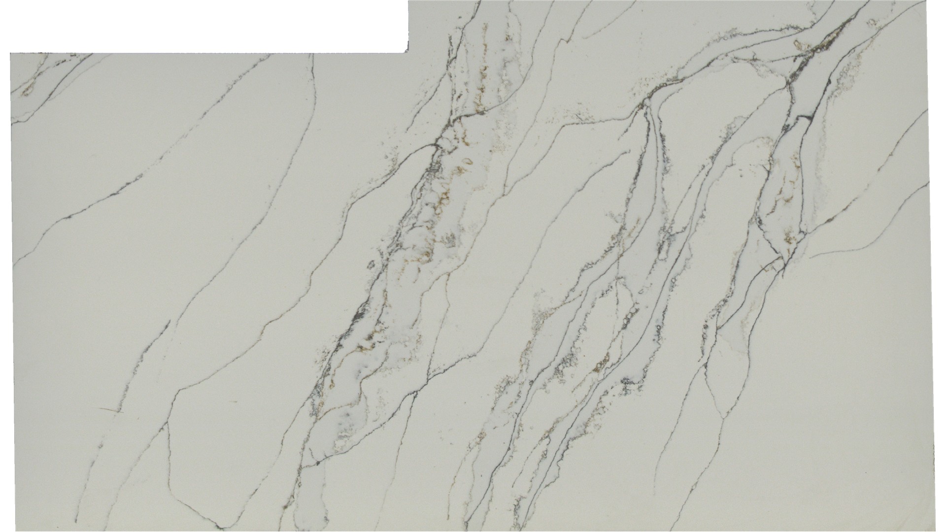Macchia Vecchia Quartz Slabs