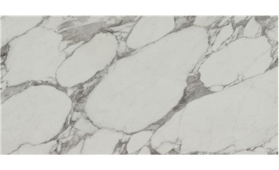 Arabescato Corchia  Porcelain