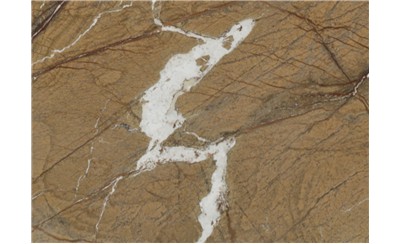 Rainforest Brown Marble