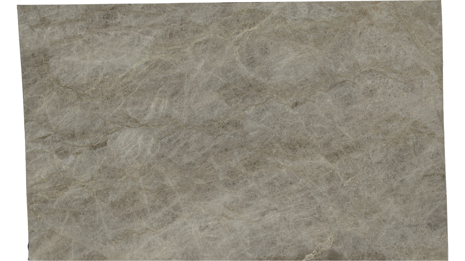 Taj Mahal Quartzite Slabs