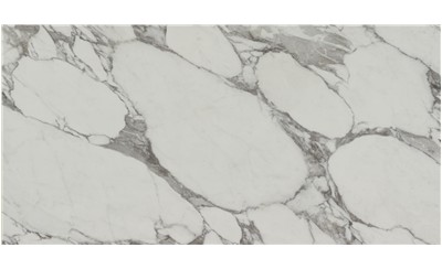 Arabescato Corchia  Porcelain