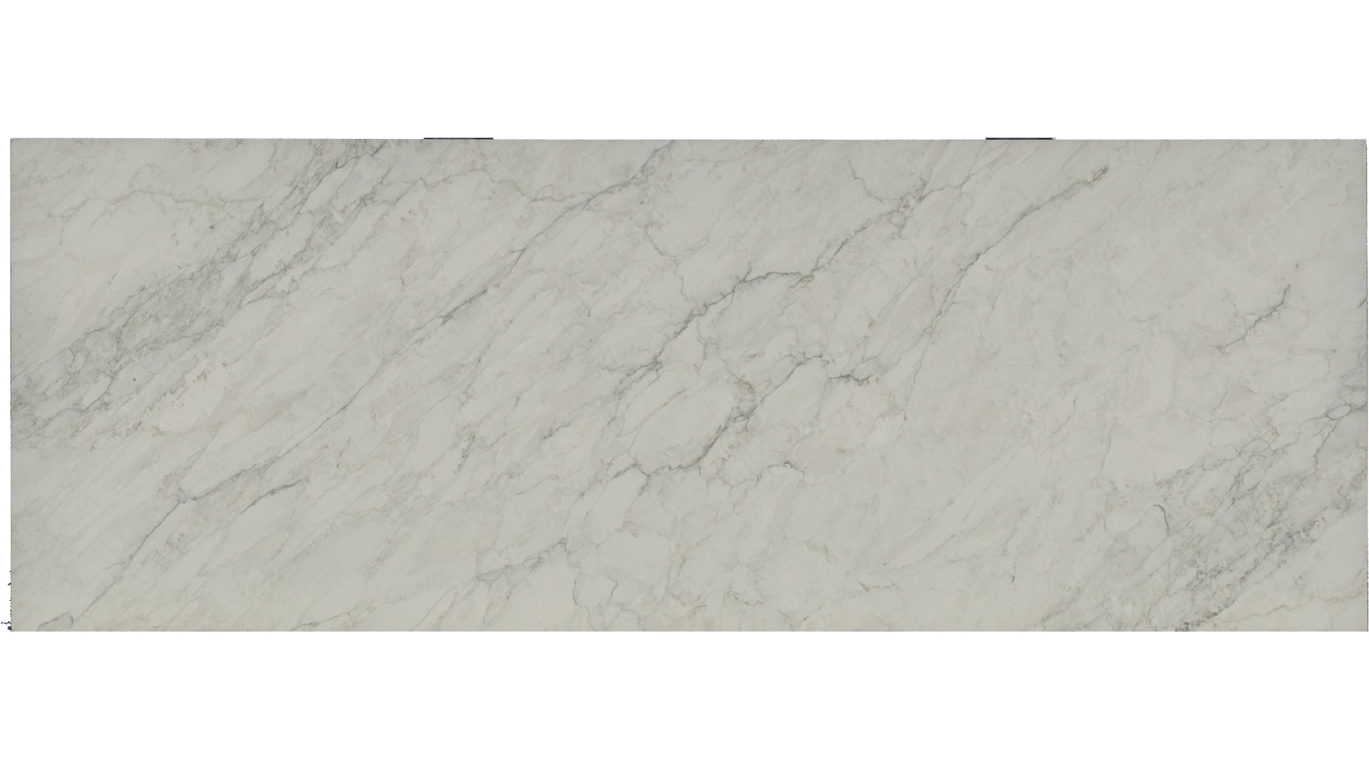 Calacatta Dove Grey Quartz Slabs