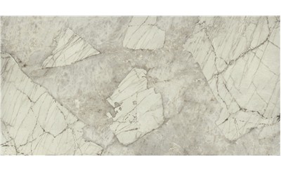 Antarctica White Porcelain