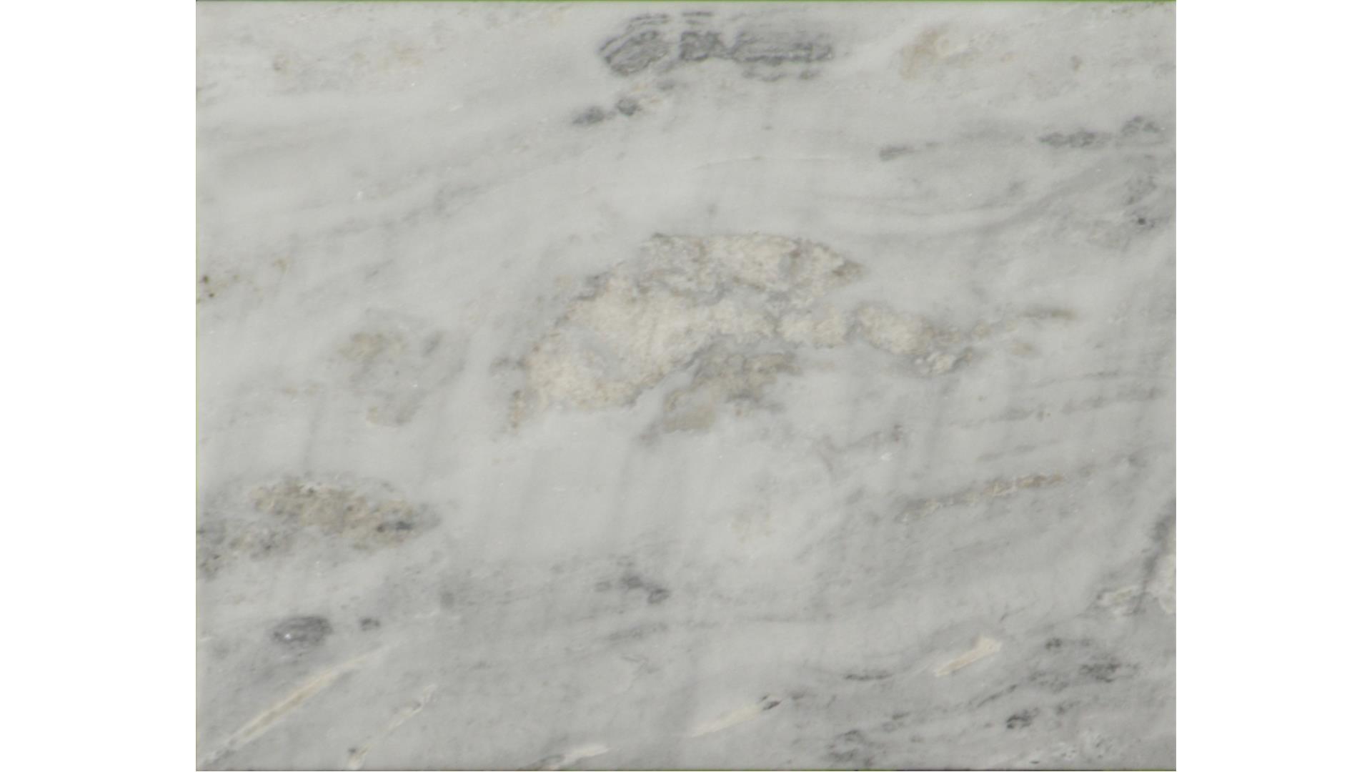Gray Oyster Marble Slabs