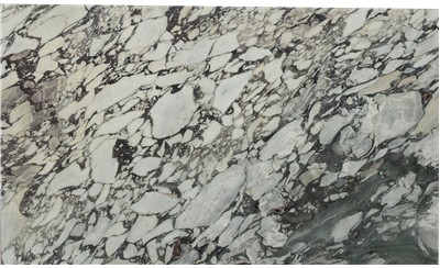 Calacatta Viola Marble