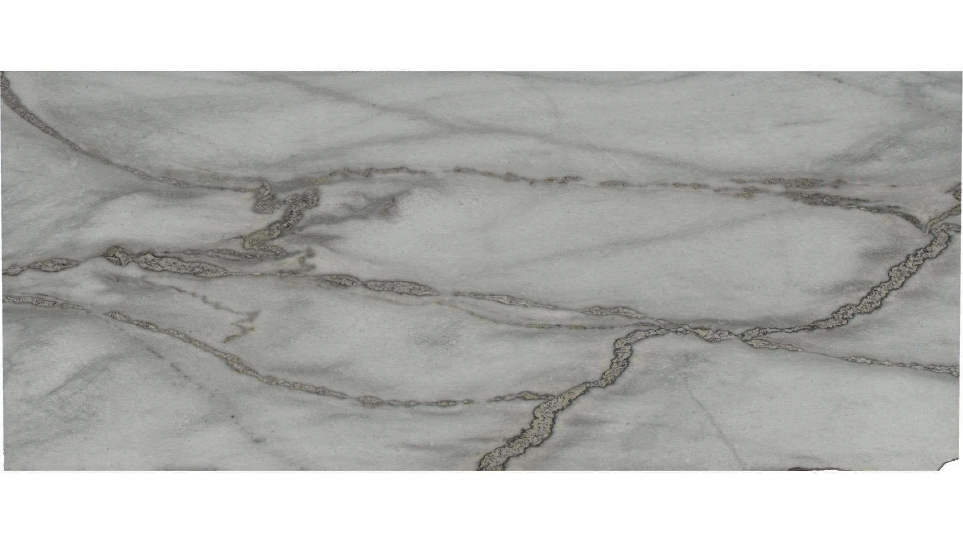 Dalmata Marble Slabs