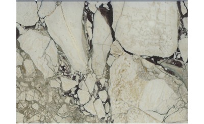 Calacatta Viola Marble