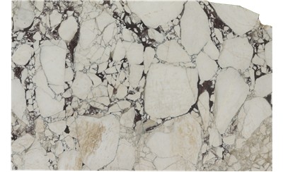 Calacatta Viola Marble