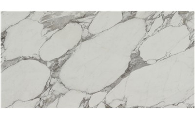 Arabescato Corchia  Porcelain