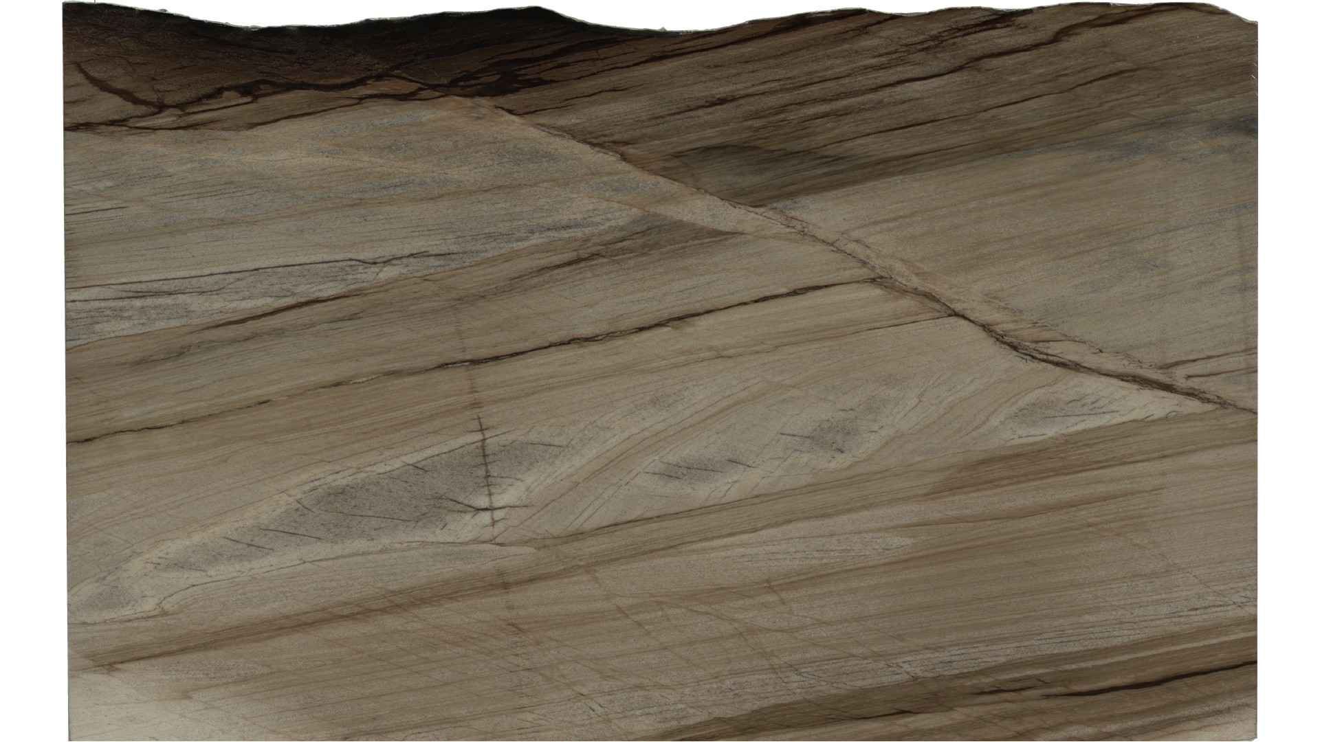 Cappuccino Quartzite Slabs