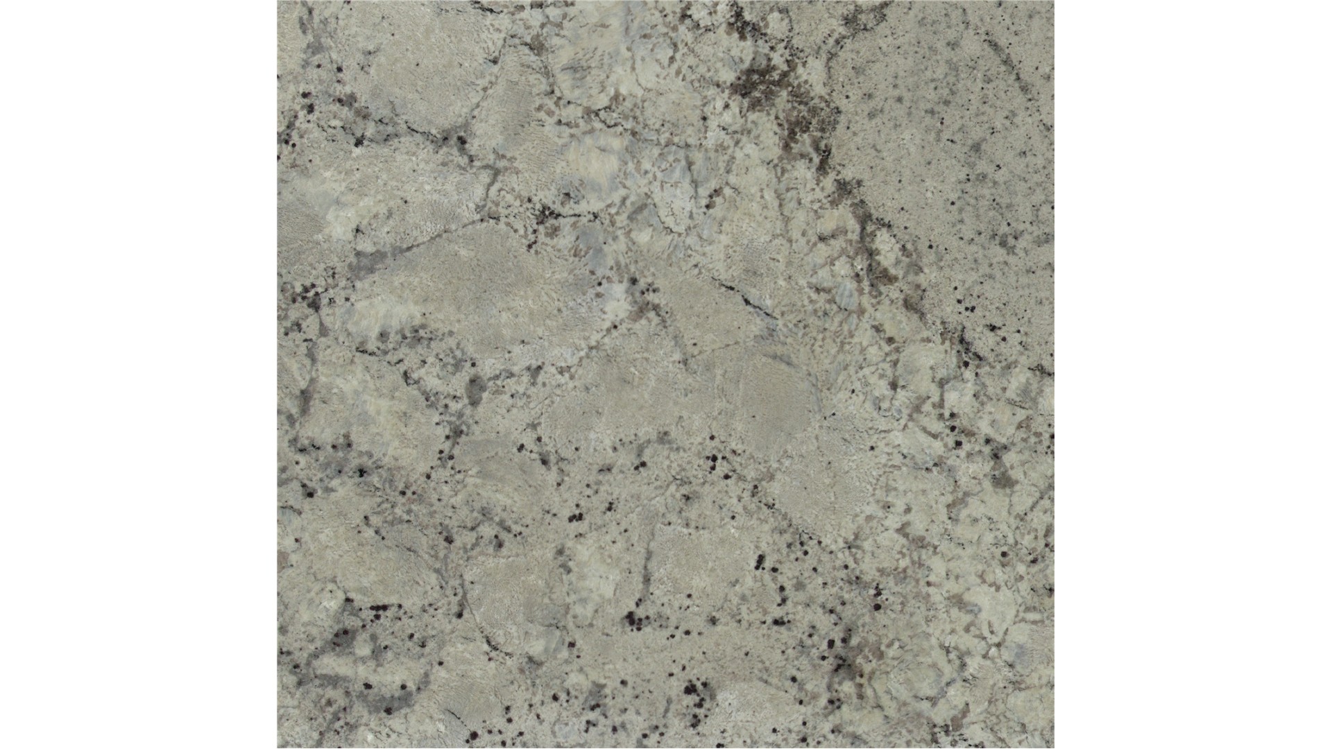 White Stellar Granite Slabs