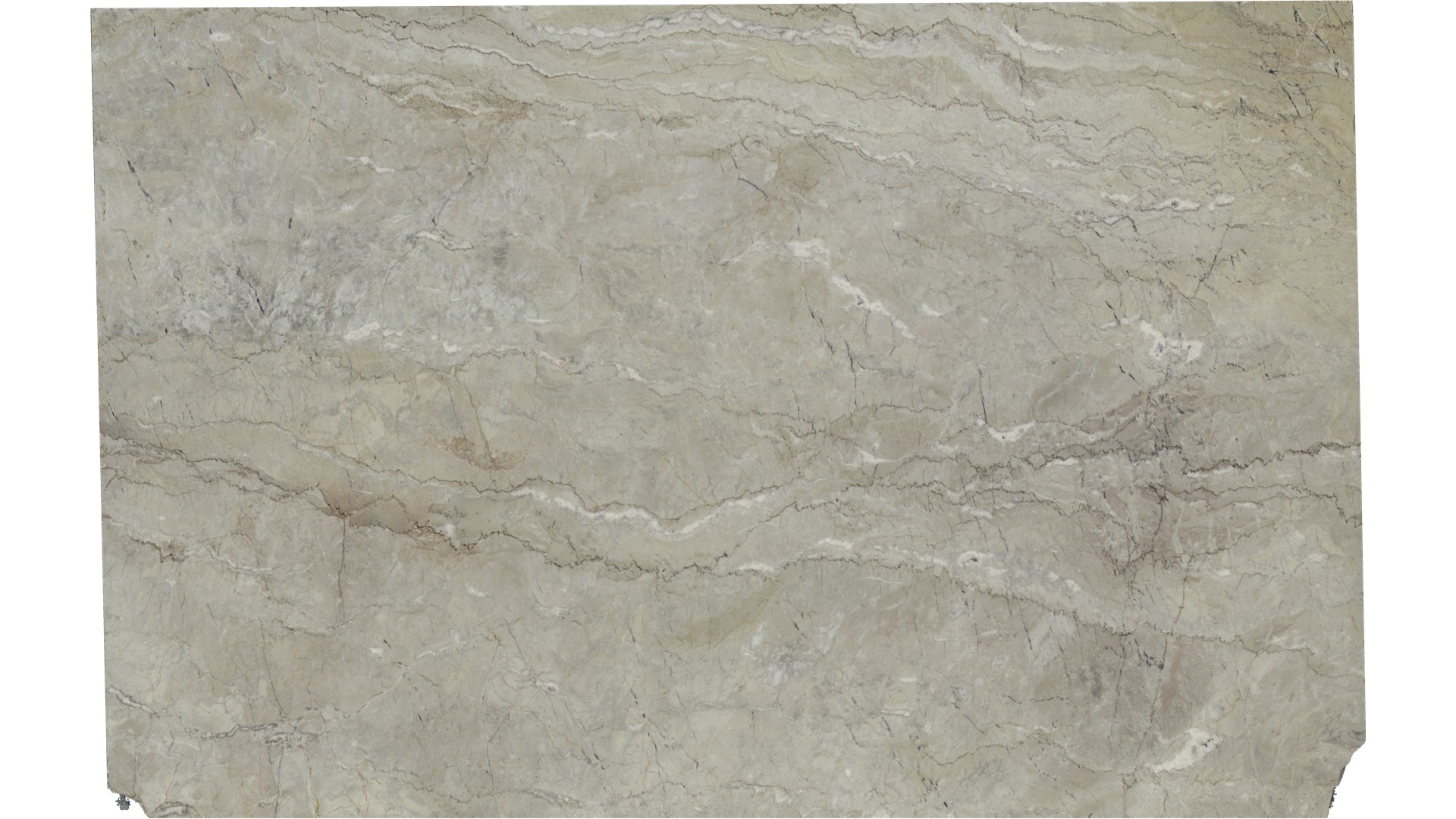 Dolce Vita Quartzite Slabs