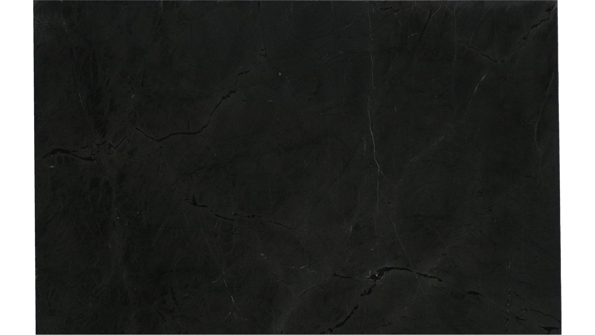 Infinity Black Quartzite Slabs