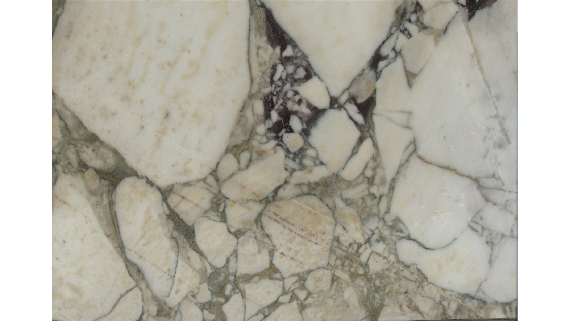 Calacatta Viola Marble Slabs
