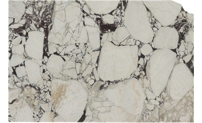 Calacatta Viola Marble