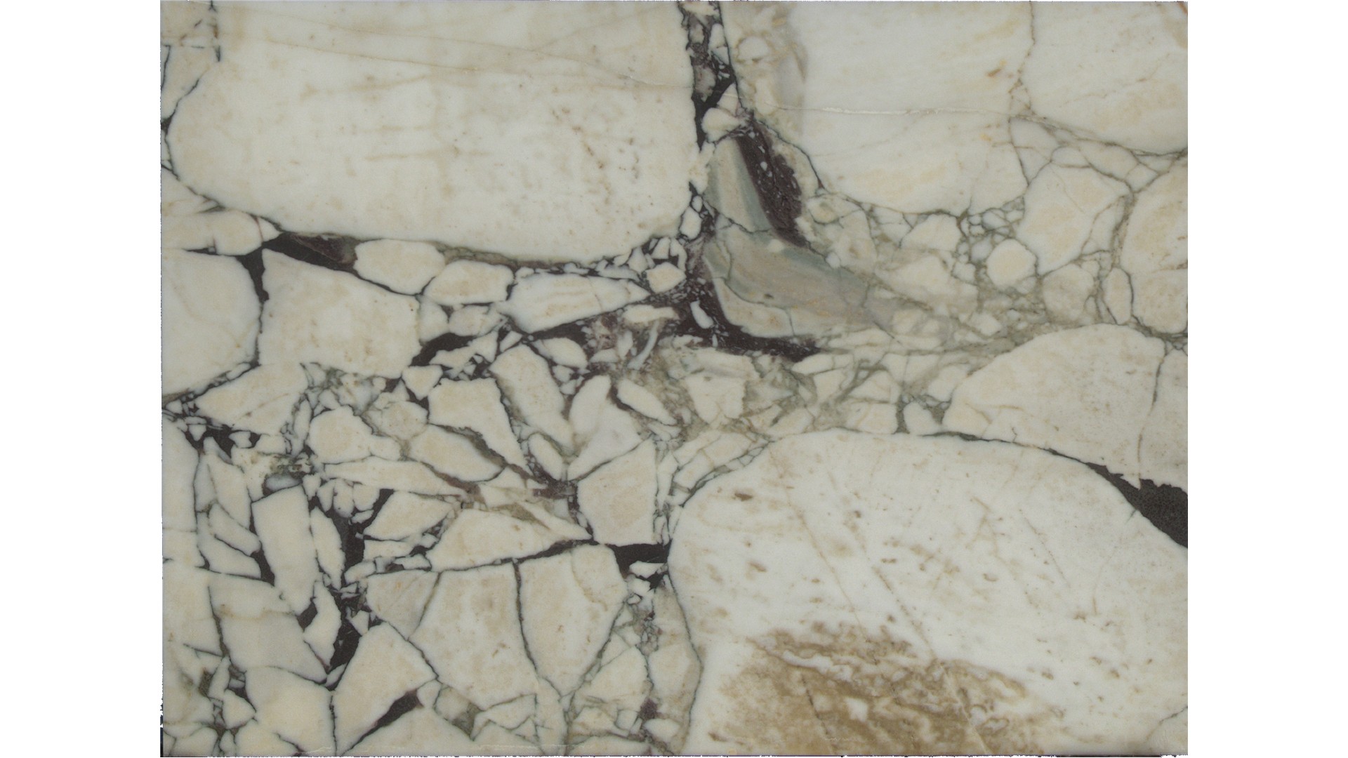 Calacatta Viola Marble Slabs