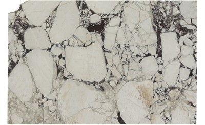 Calacatta Viola Marble
