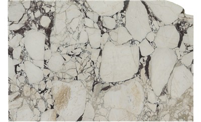 Calacatta Viola Marble
