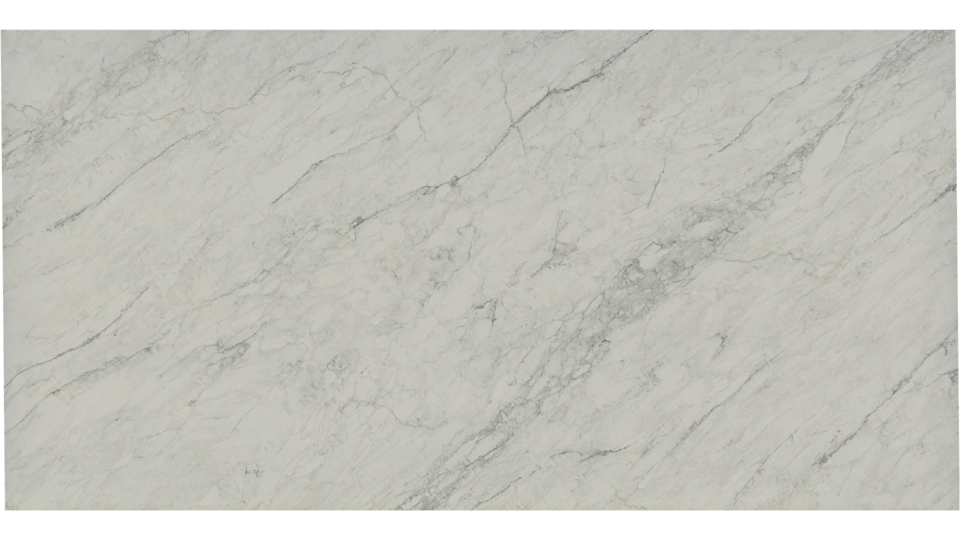 Calacatta Dove Grey  Quartz Slabs