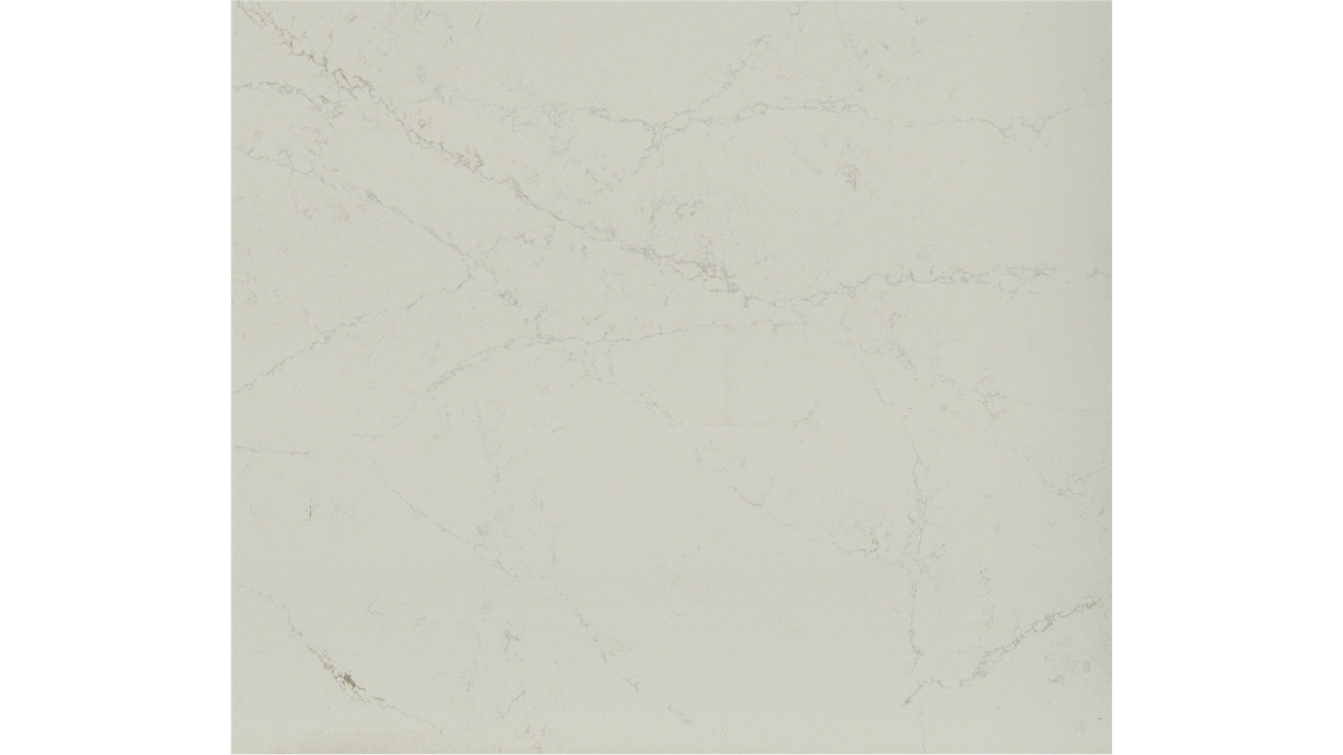 Arabescato  Quartz Slabs