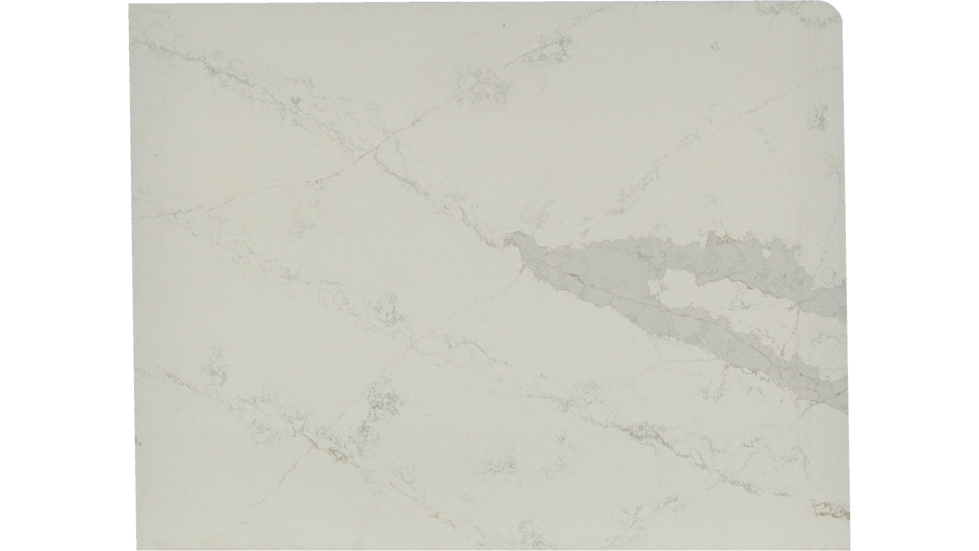 Elegance Michelangelo Quartz Slabs