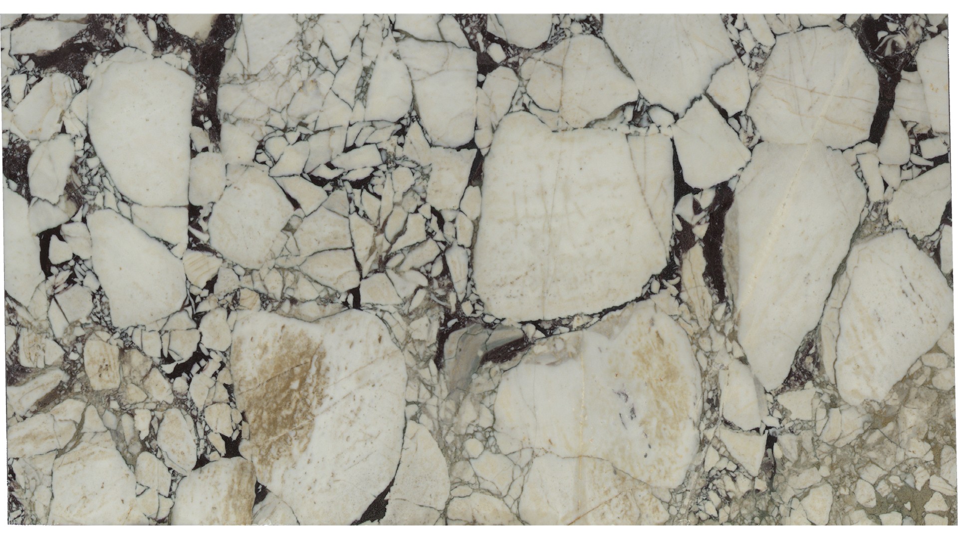 Calacatta Viola Marble Slabs