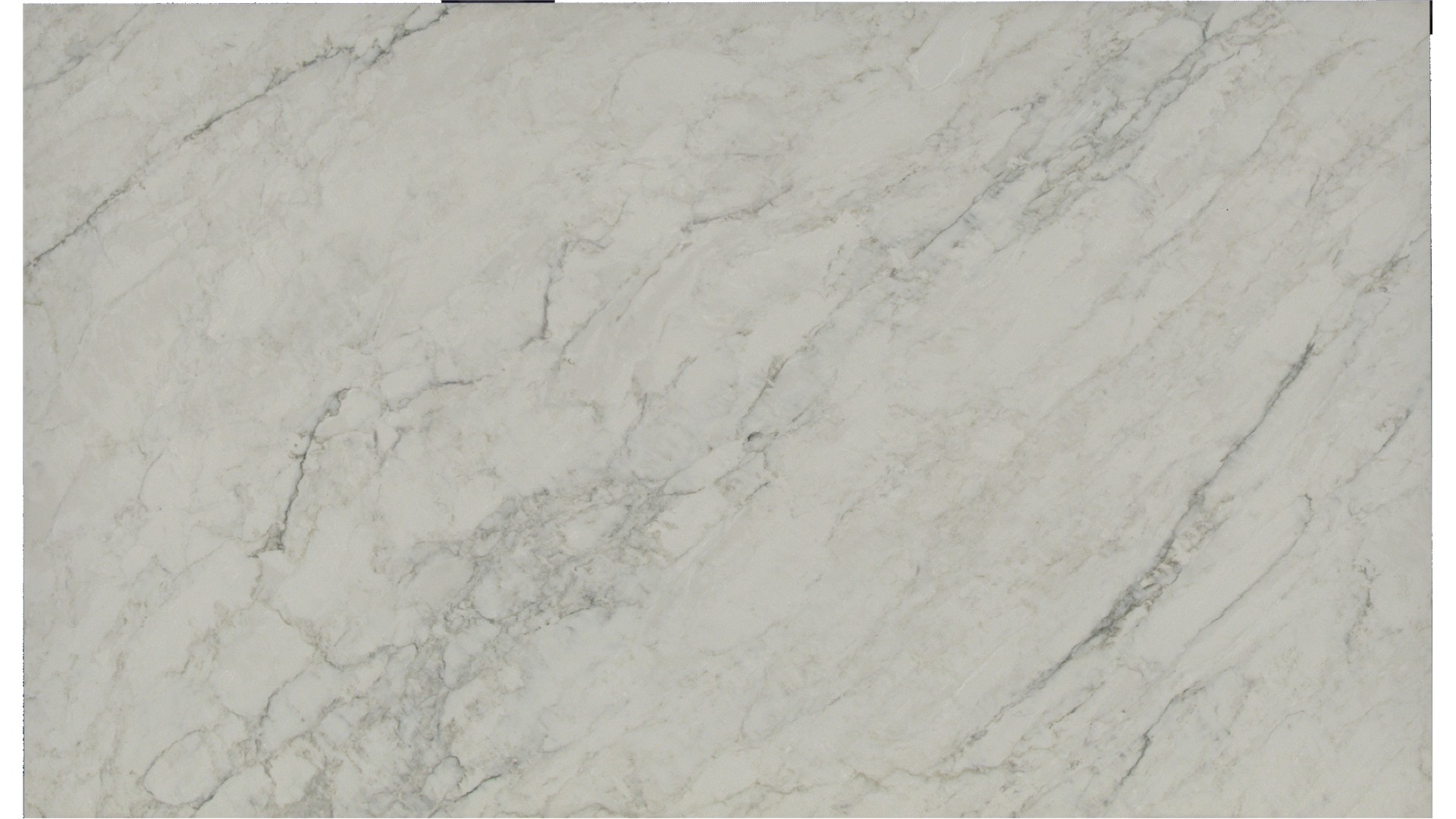 Calacatta Dove Grey  Quartz Slabs