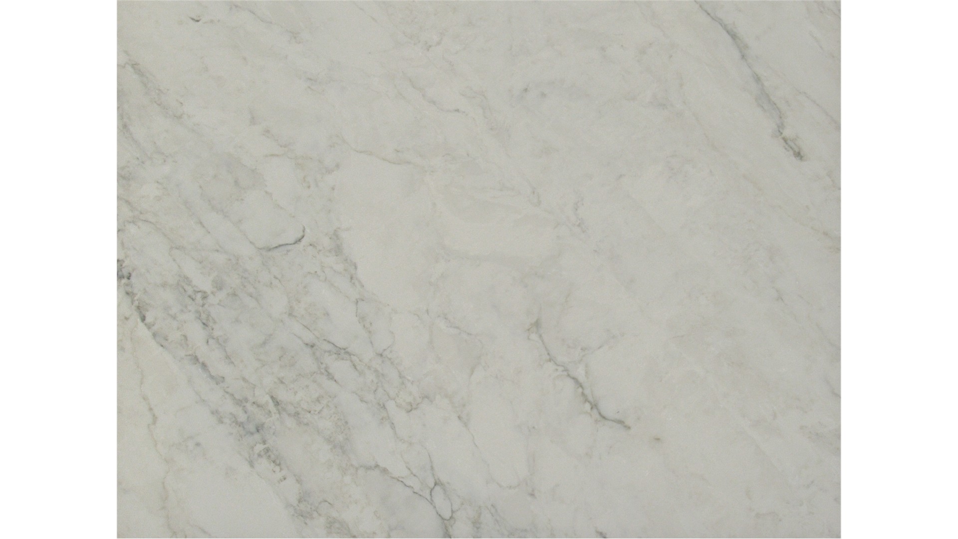 Calacatta Dove Grey Quartz Slabs