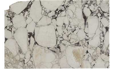 Calacatta Viola Marble