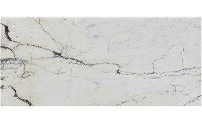 Paonazzo Marble