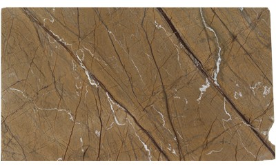 Rainforest Brown Marble