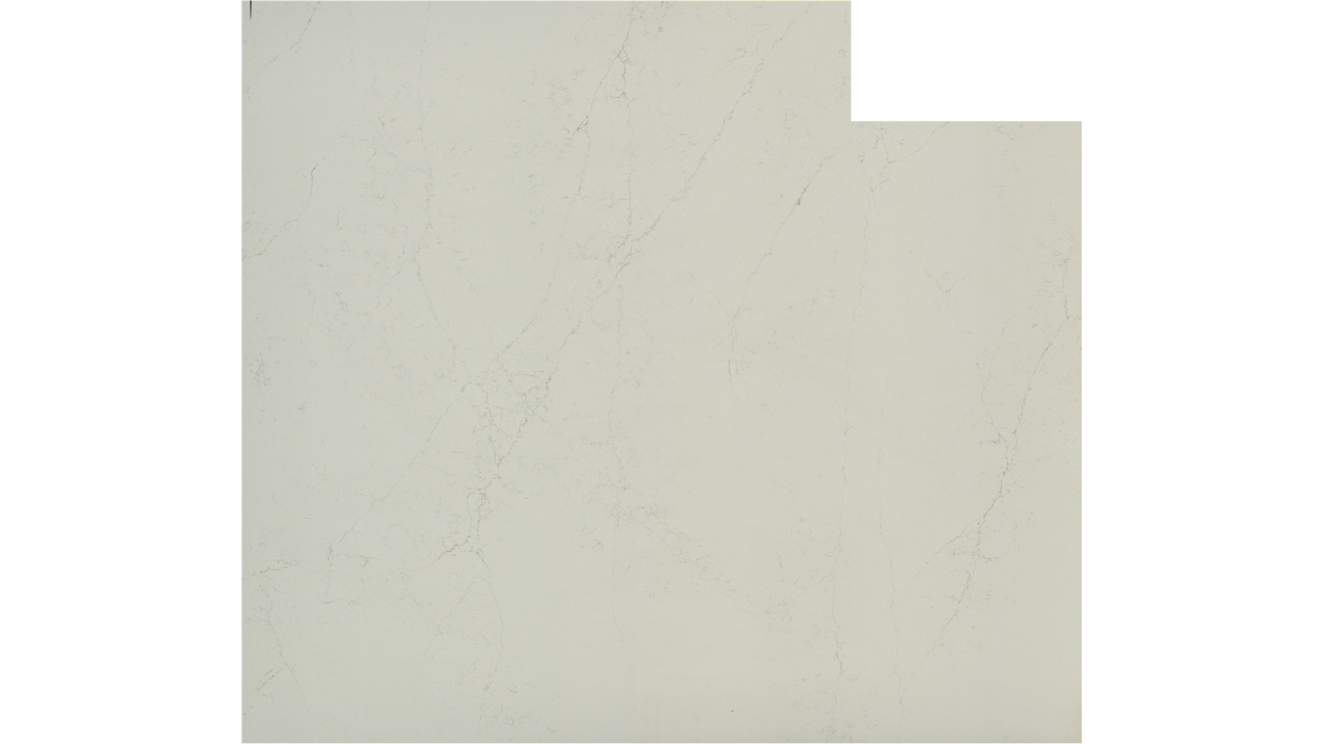 Unique Arabescato Quartz Slabs