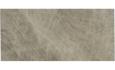 Taj Mahal Leather Quartzite