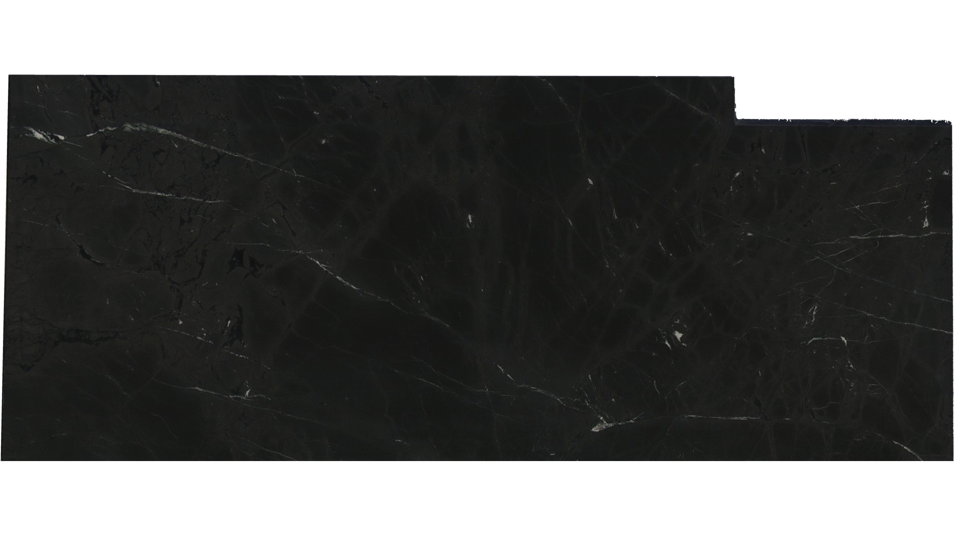 Infinity Black Quartzite Slabs