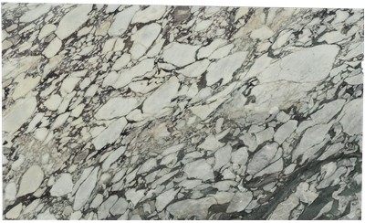 Calacatta Viola Marble