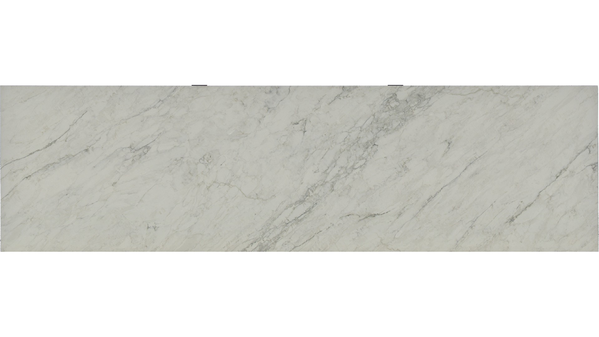 Calacatta Dove Grey Quartz Slabs